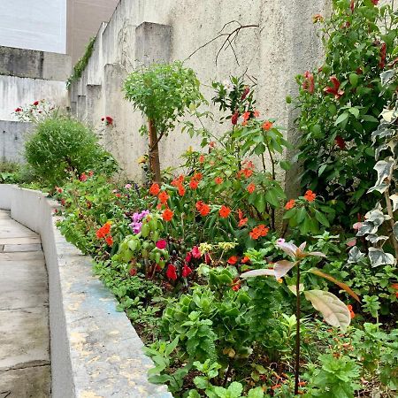 101- Lindo Apartamento Amplo E Decorado, 2 Quartos, Sala, Cozinha Completa, Mobiliario Moderno, Lavanderia , Excelente Localizacao No Bairro Bigorrilho Curitiba Buitenkant foto